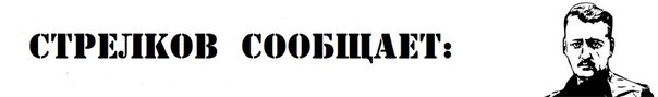 banner Strelkov-Reports